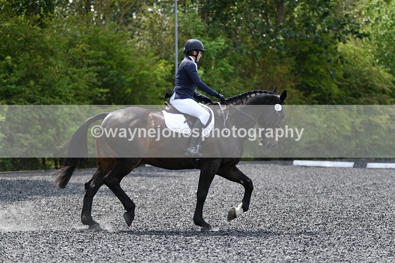 WJ5_0015 - Time 11:47 to 12:21