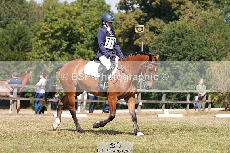 250823A-120732-29266 - Arena A