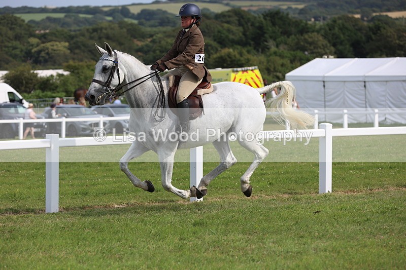 JPP_4282 - Class 25: Working Show Horse