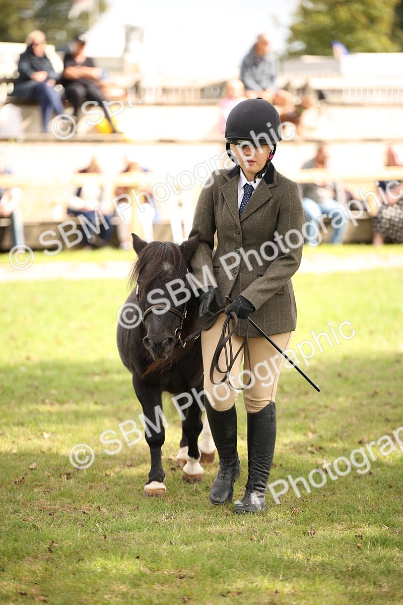 SBM_46382 - S25 - Mature Veteran In Hand