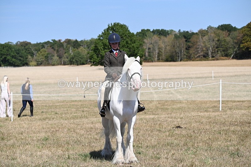 WJ6_9044 - Class 38 Ridden Riding Horse/Pony