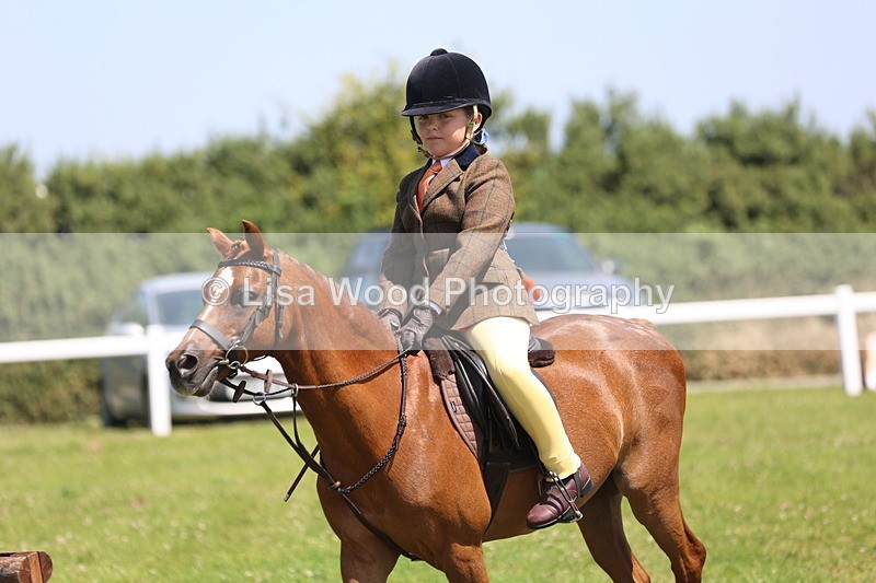 JPP_2234 - Class 20: Tiny Tots Working Hunter Pony