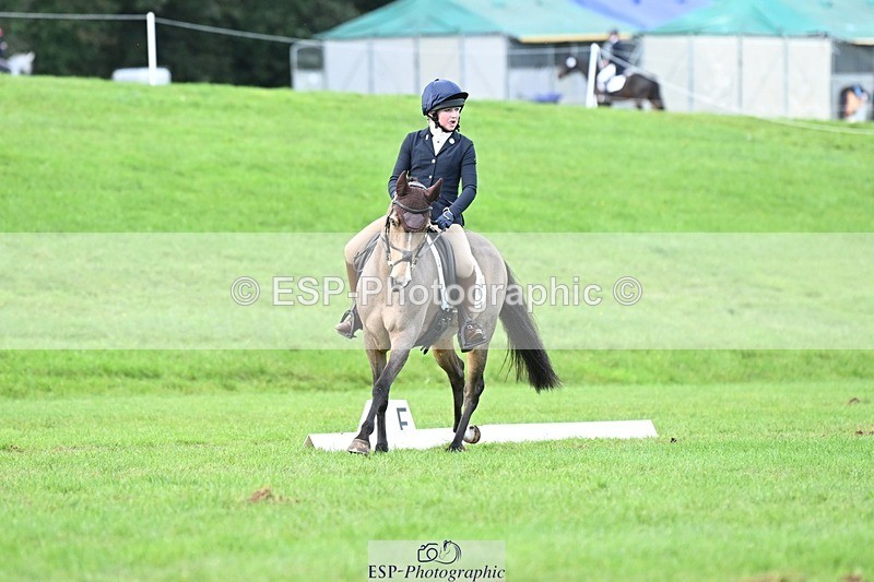 231020-161426-11635 - 558-BATHLEYHILLS.GOLDEN.SPRAY-Cleo.Whitbread-DR