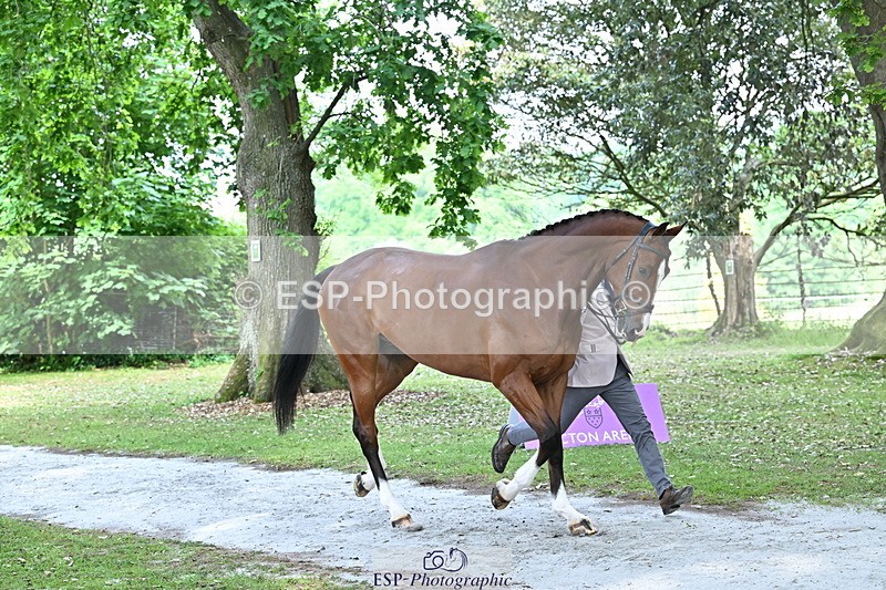 250521A-151222-00337 - B-318-Alexander.Bragg-SHANNONDALE.CONNOR
