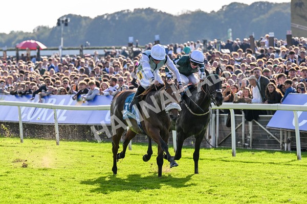 111025-Race 3-Laazm-0344 - Race 3 Coral 'Daily Reward Shaker' For Free Nursery Handicap at York