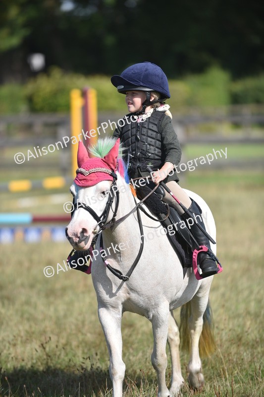 20260906-0969 - Class 7 - Absolute Novice Jumping 35cm