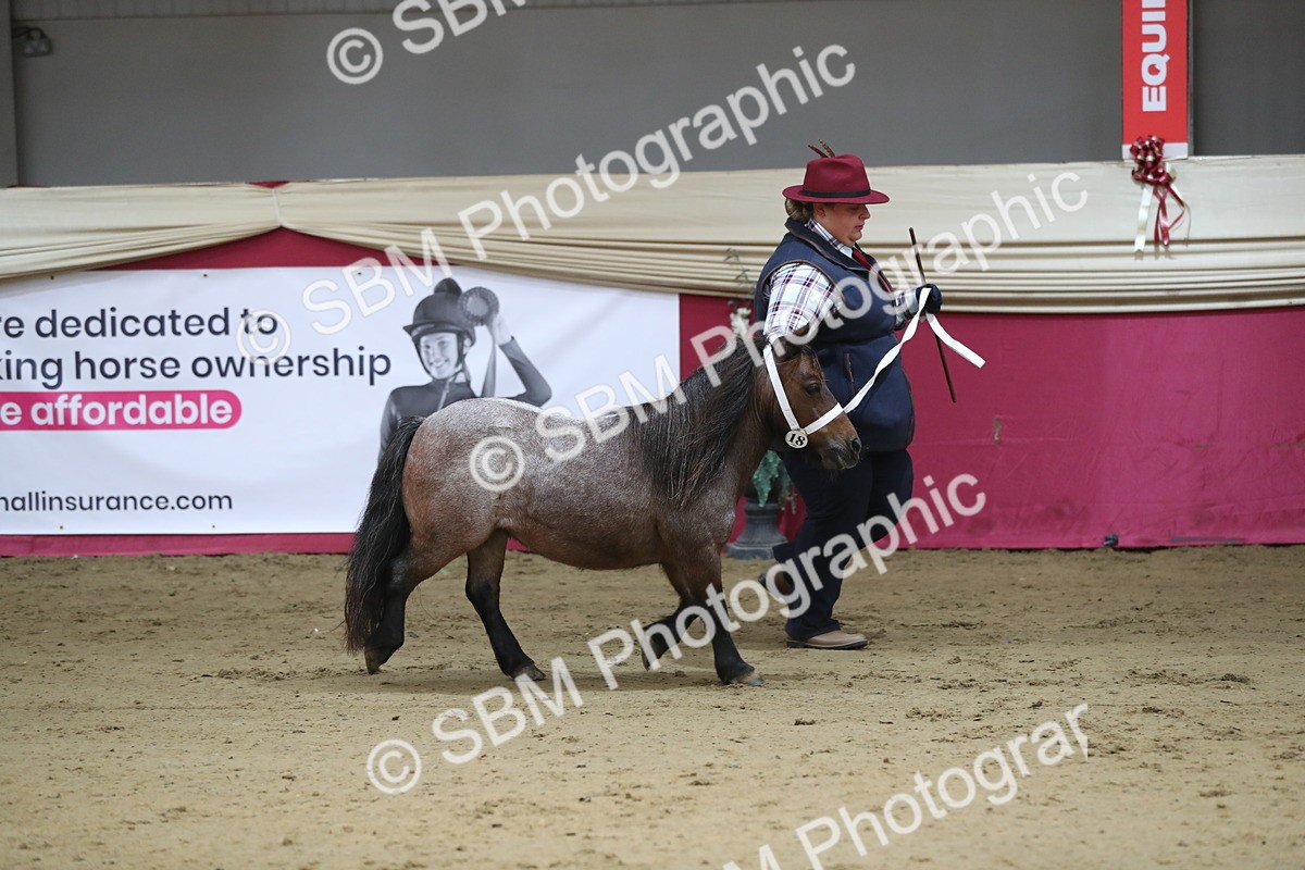 SBM_01332 - Class 3a Area IH Pre Vet