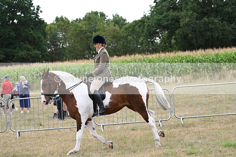 WJ7_5109 - Class 12 Ridden Cob