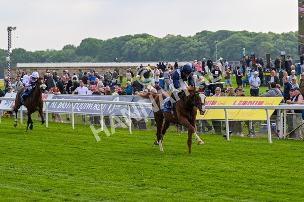 160524-Race 4-Economics-5966 - Race 4 3.45pm Al Basti Equiworld Dubai Dante Stakes