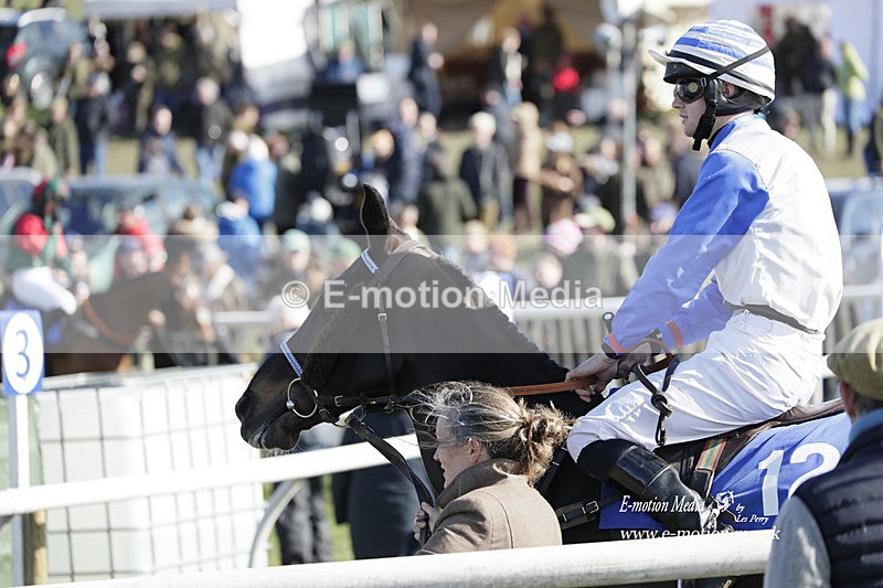 PtP 100423 994 - Old Berkshire Point-to-Point Lockinge 10/04/23