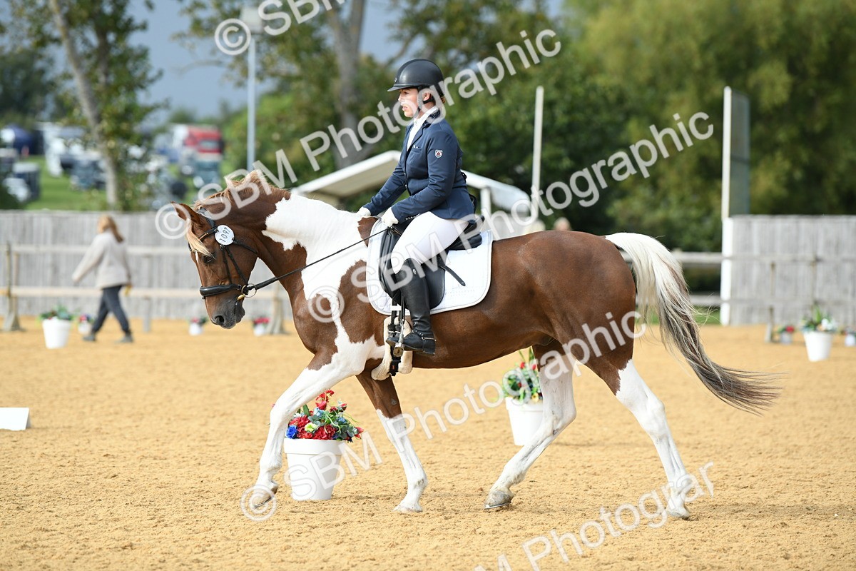 SBM_11053 - D28 Elementary Taster Elementary 42