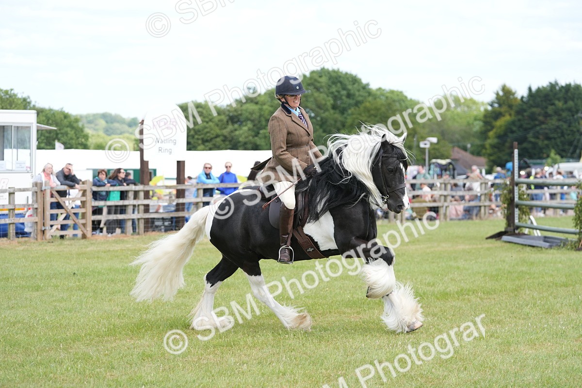 SBM_17281 - Class 107-108 - LIHS BSPS Performance Coloured Horse Pony
