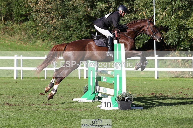 231022-145855-29556 - 447-STALLONE-Andrew.Winterton-TrotUp+SJ