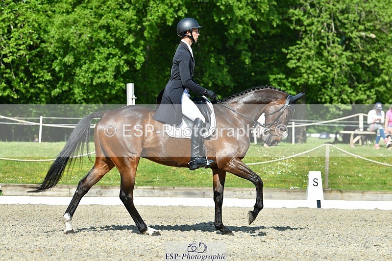 230525-092805-03747 - 405-MATTERHORN_RISING-Arthur_Duffort-DR