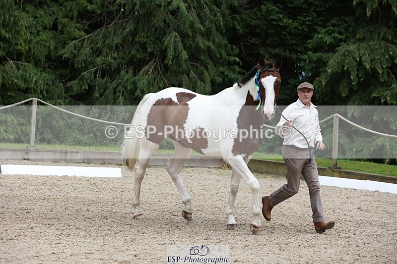 230812-145006-04817 - Novice Silver Presentations