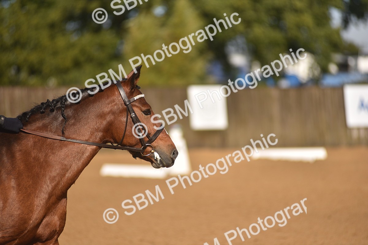 SBM_38570 - D14 - Grand Tour Championship Prelim 2