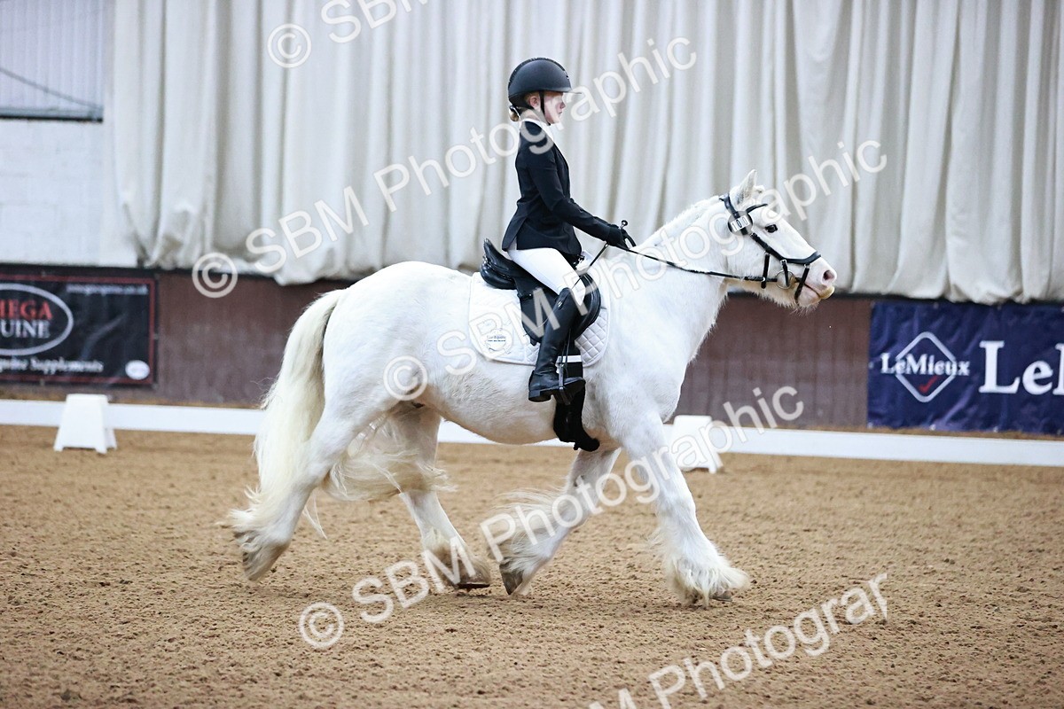 SBM_000065 - Class 3, 4, 8, 10 Intro 3 Prelim 3 Novice 2