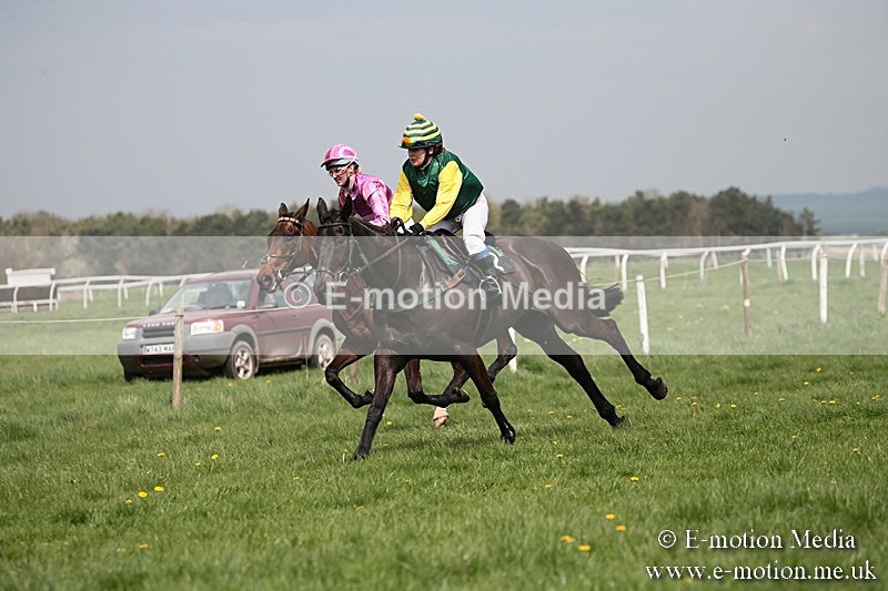 PtP 210418 30 - South & West Wilts Point-to-Point Larkhill 21/04/18