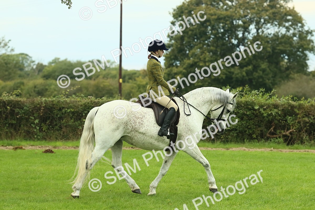 SBM_71836 - S60 - Mountain & Moorland Ridden Large Breeds