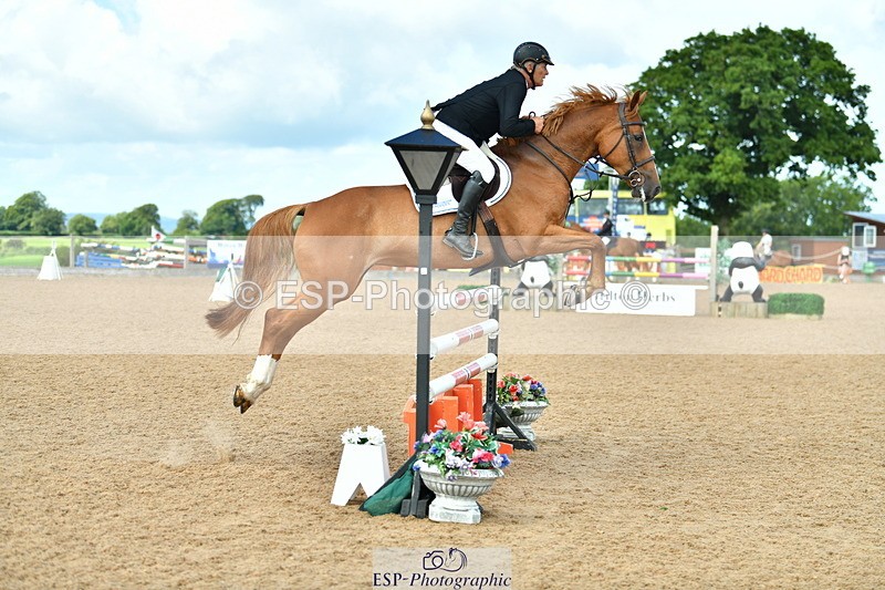 230811A-120828-04102 - Cls 20 Snr Fox