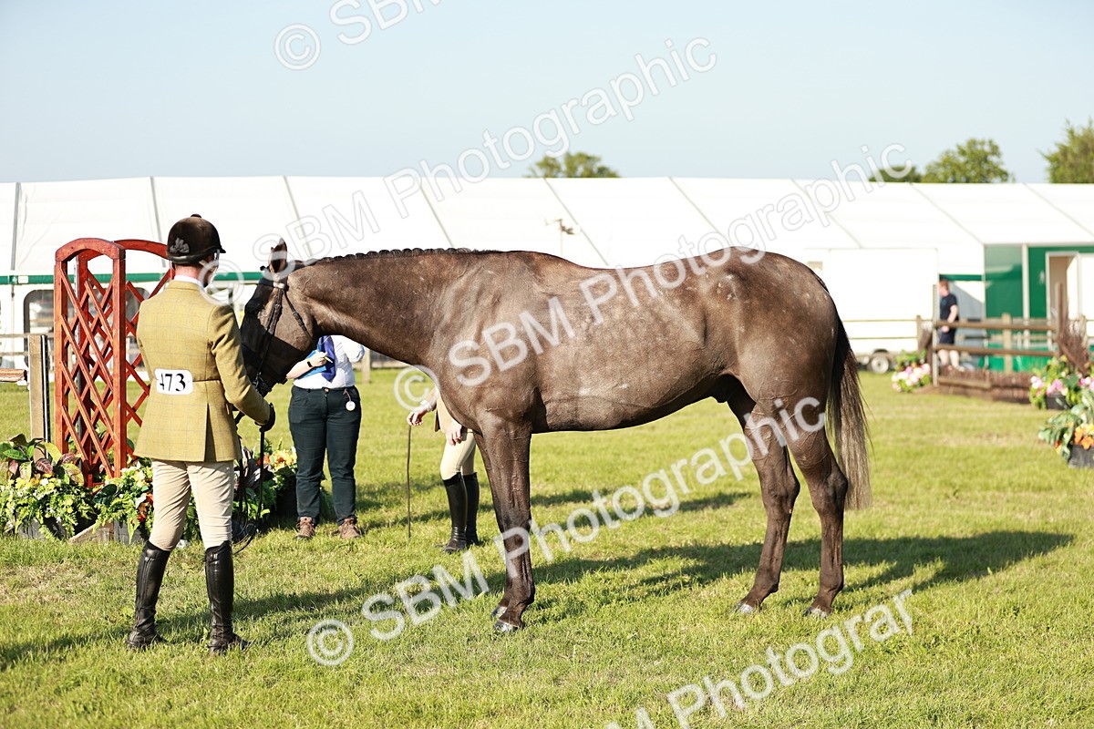 SBM_20169 - Class 117-119 - Sport Horse Working Hunter