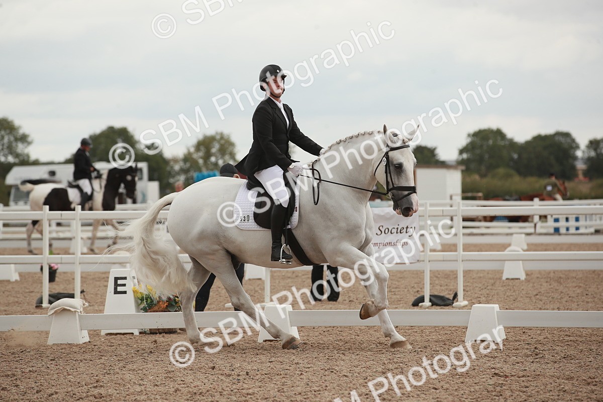 SBM_06175 - Class 33 - Elementary 1