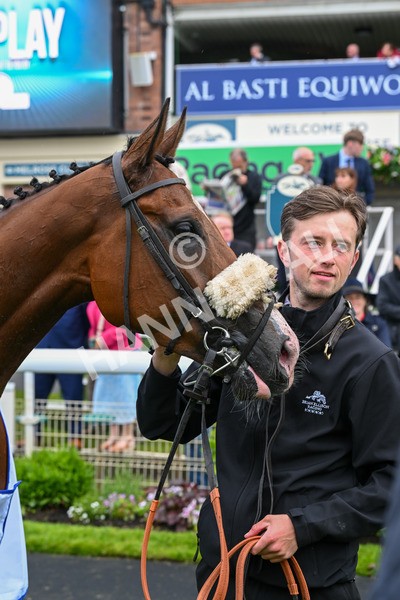 150624-Race 2-Tolstoy-6961 - Race 2 2.25pm Sky Bet Proud To Support Macmillan Handicap