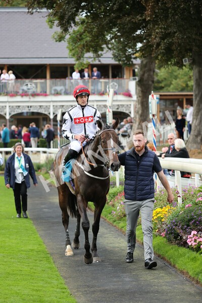 yr04092022r4-32 - Race 4 3.30pm Federation of Bloodstock Agents Nursery Handicap