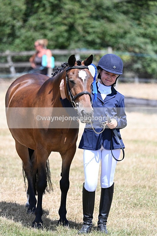 WJ7_2257 - Class 5 Most Handsome Gelding (up to 14.2hh) in hand