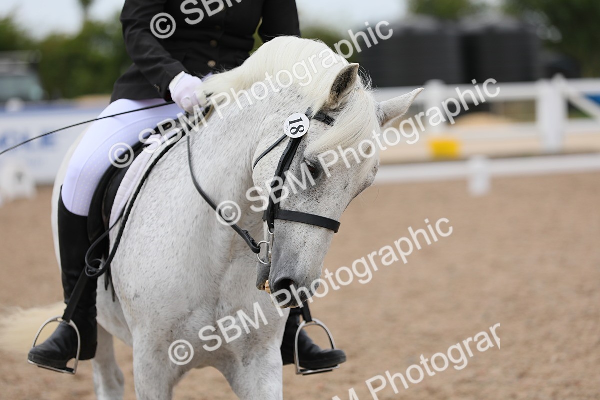 SBM_05661 - Class 32 Novice 1