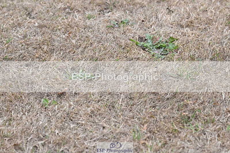 250820A-174548-12242 - Wednesday Presentations