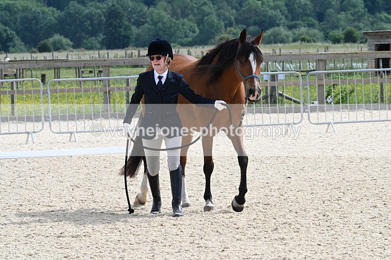 WJ7_8210 - Time 16:10 to 16:25