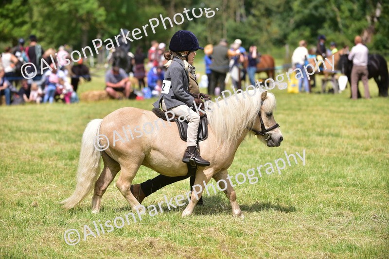 20260614-1279 - Class 11a - Lead Rein Pony (Unplaited)