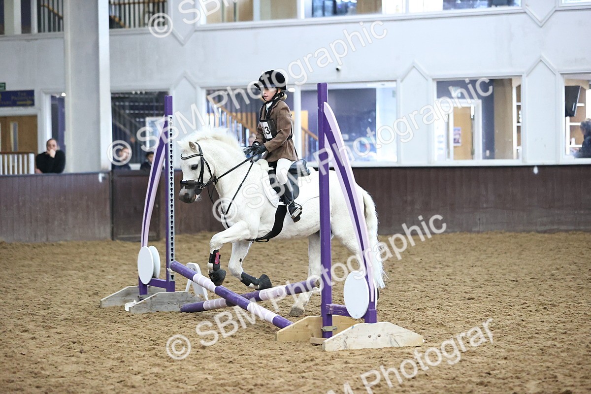 SBM_000271 - Class 2 - The Rug Lady 40cm Area 12 Championship Qualifier