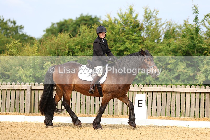 3E7A9031 - Class 1: Intro 1 2024 Section A