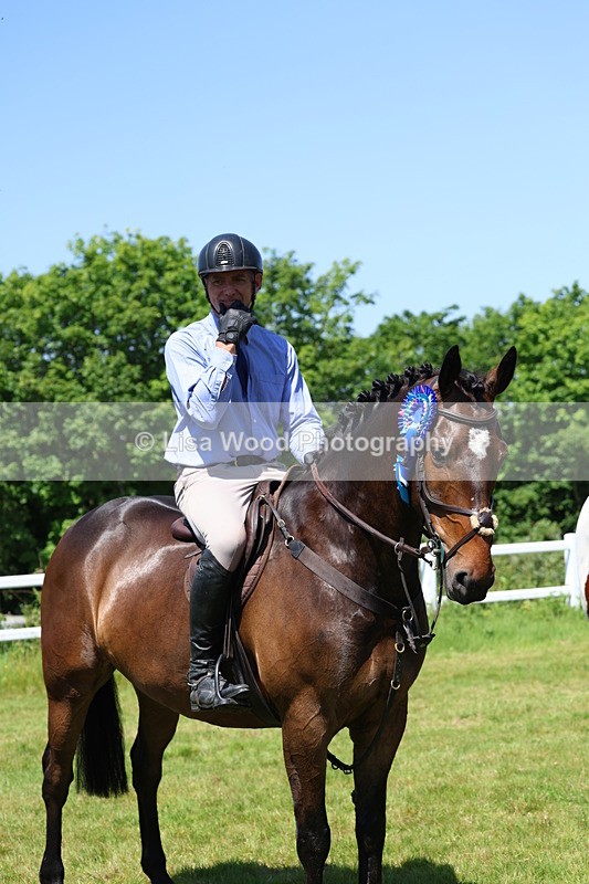 3E7A7401 - Class 30: Novice Working Hunter