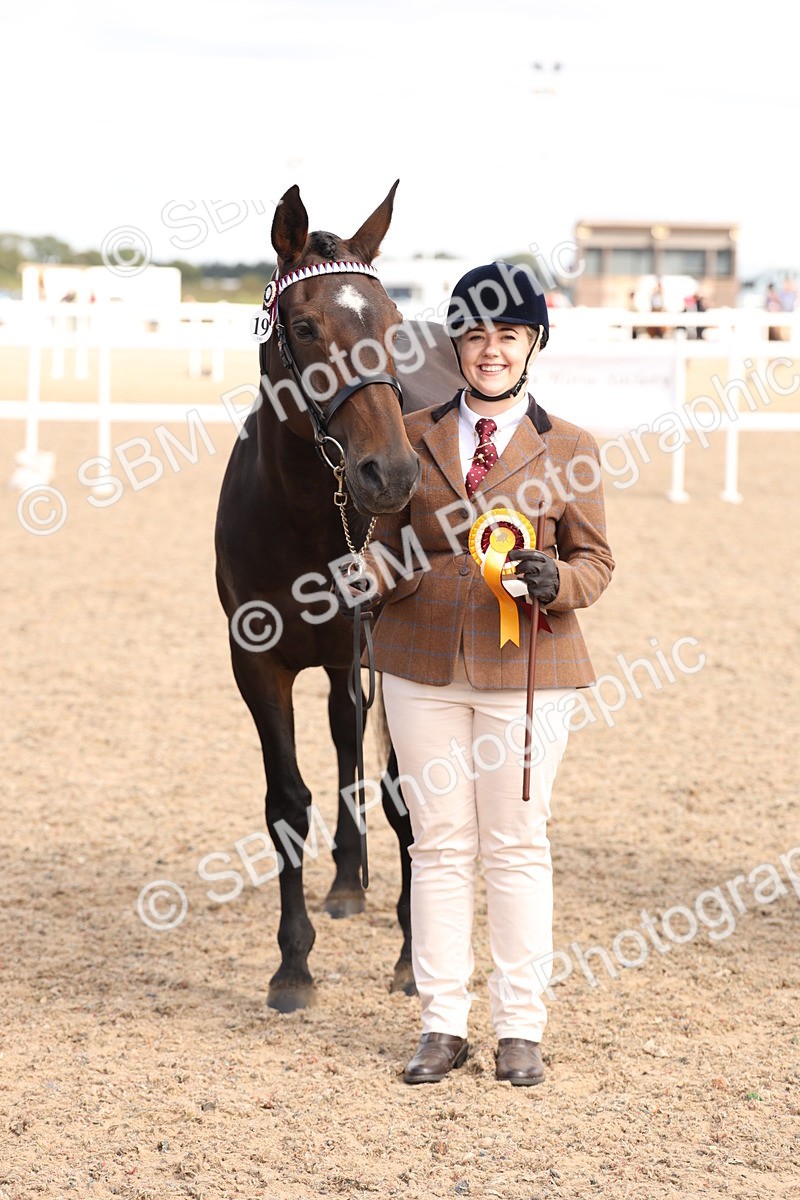 SBM_14730 - Class 208 - IH Veteran Horse