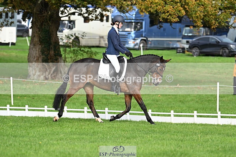 251023A-105819-02655 - G-511-Clara.Tuke