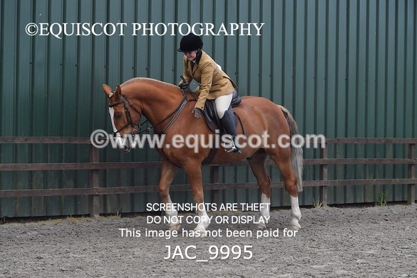 JAC_9995 - CLASS 3 Intermediate Working Hunter (0.70m - 0.85m)