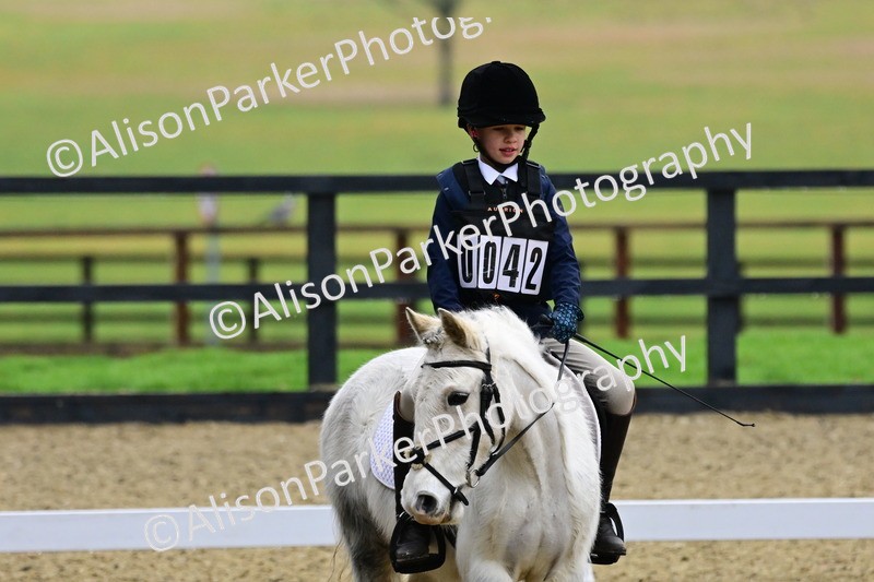 20260125-0530 - Class 9b - Walk Trot Unassisted