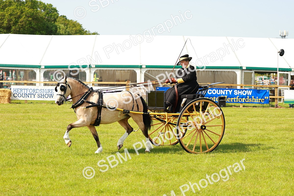 SBM_02664 - Class 2-4 - HOYS Private Driving