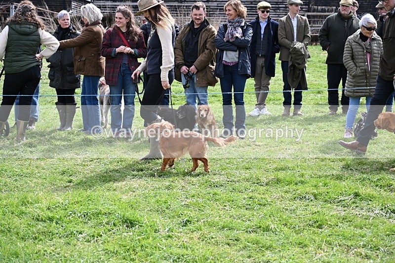 WJ6_8229 - Class 4 Prettiest Bitch