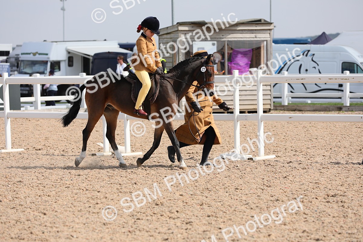 SBM_13981 - Class 309 Lead Rein Pony