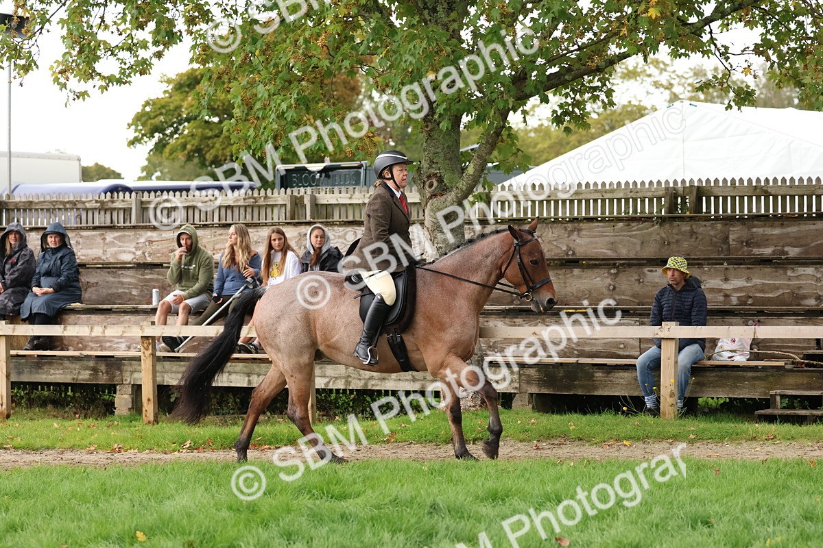 SBM_44984 - S27 - Young Veteran Ridden