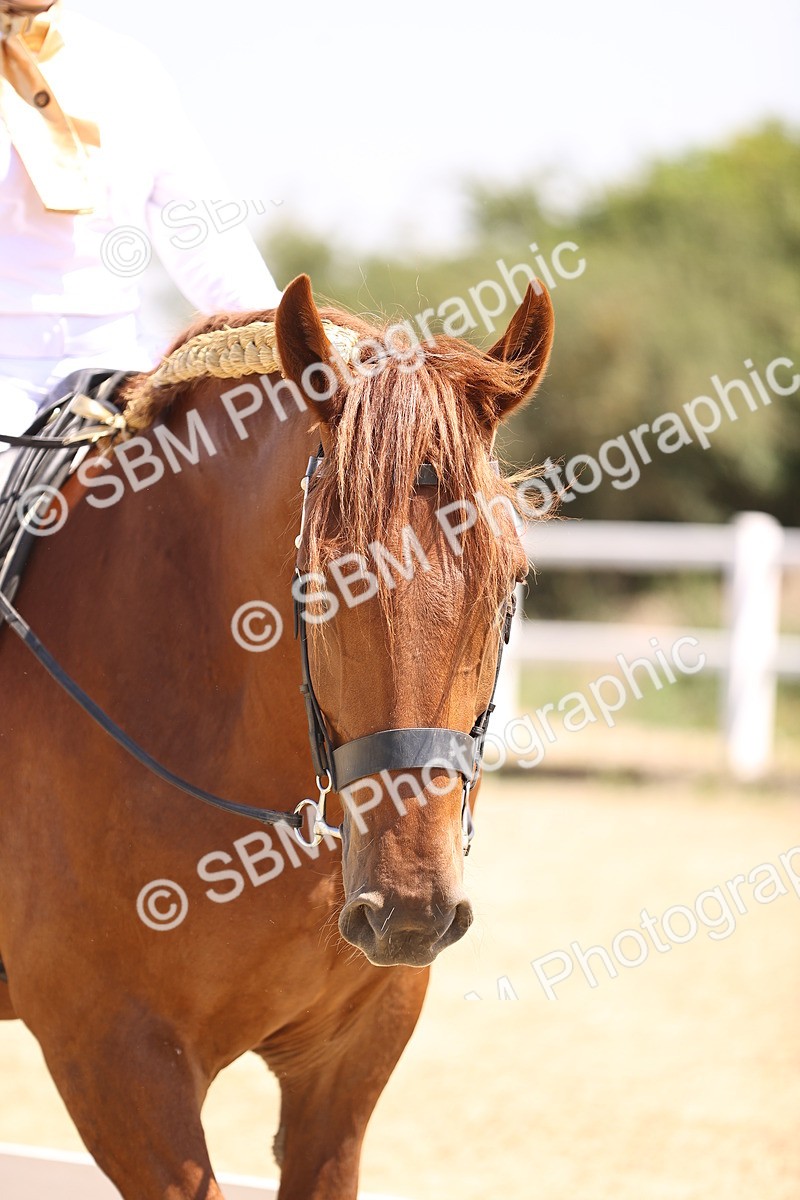 SBM_004144 - Intro 2