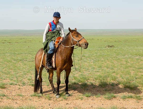 Jockey - Mongolia