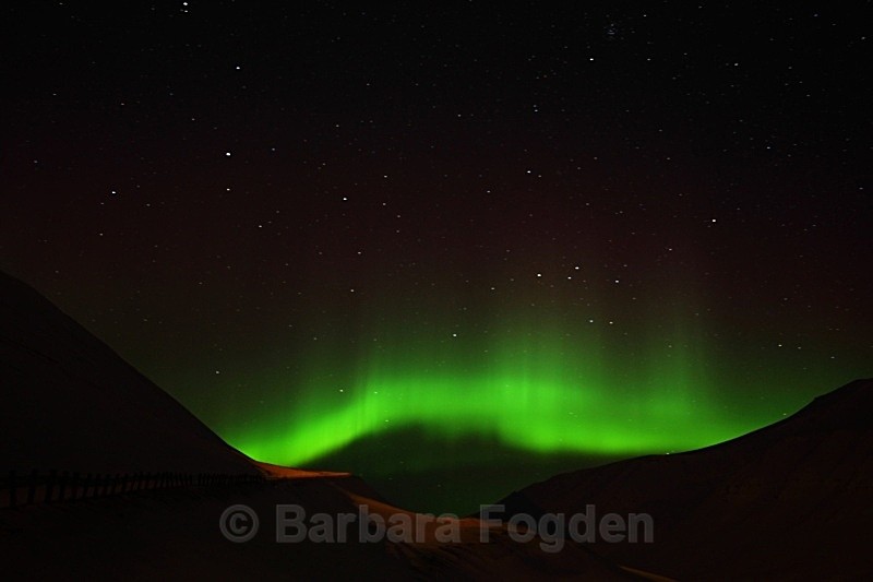 Northern light in Bolterdalen 9343 - Polar night