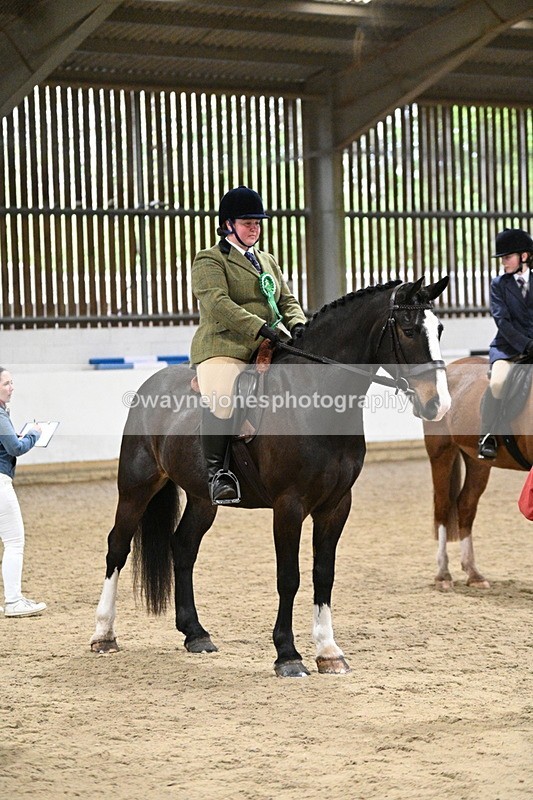 WJ7_4359 - Class 17 Ridden Cob