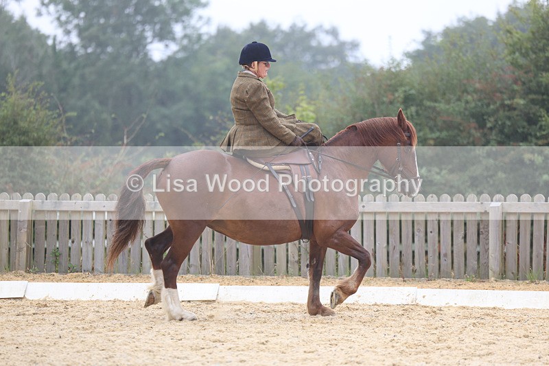 3E7A6854 - Class 5: Prelim to Music