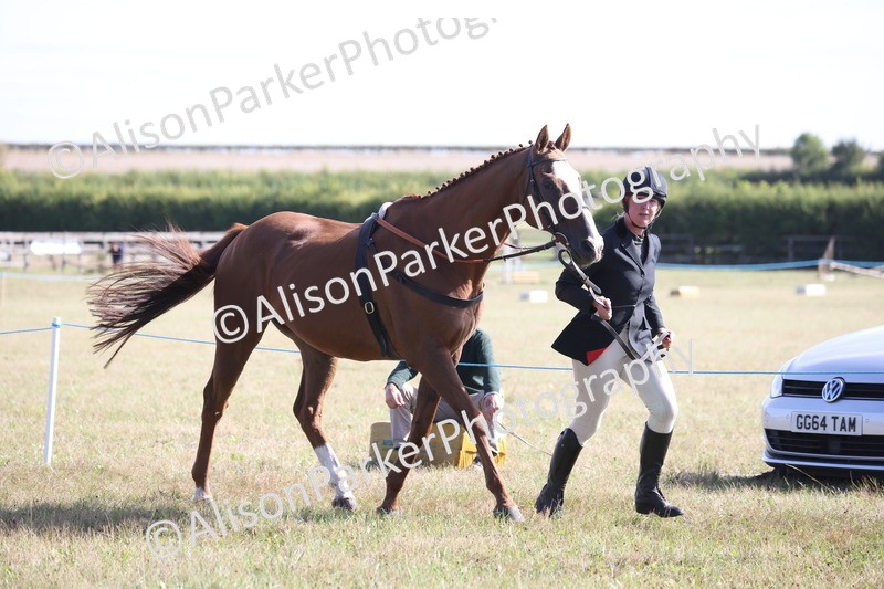 20260906-0712 - Class 22 - Ex Racehorse